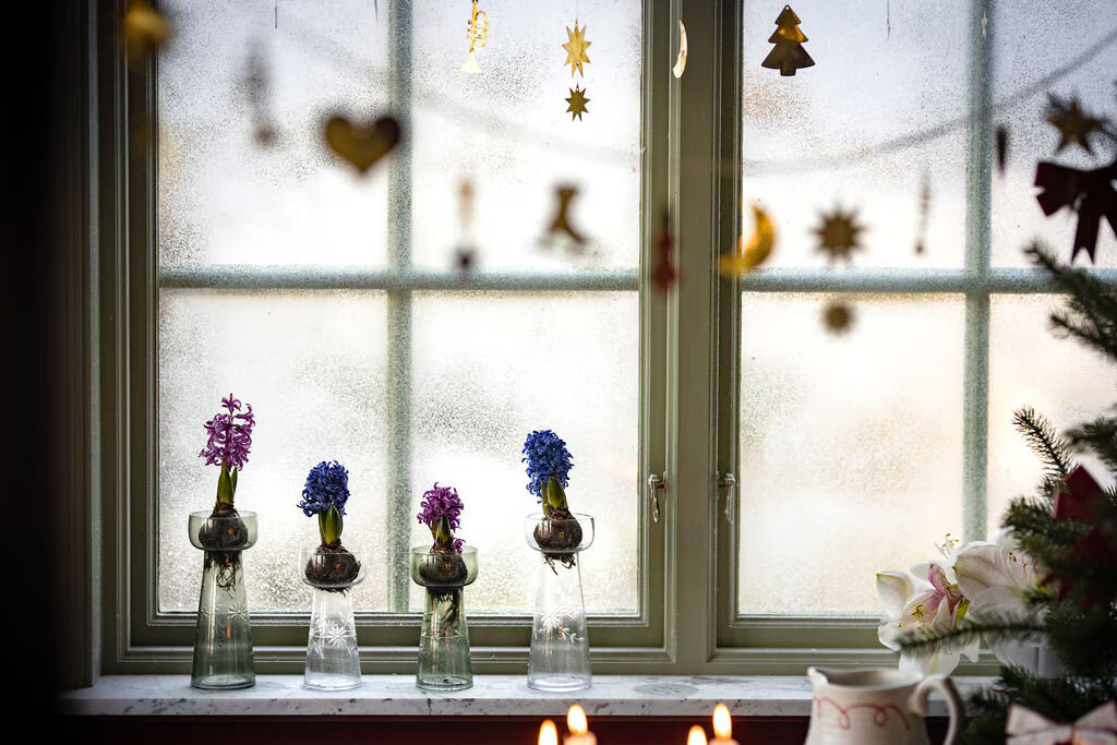 Vase à Jacinthe grand modèle