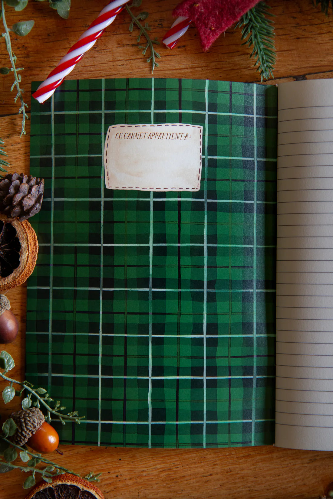 Carnet de l'hiver - Carofromwoodland