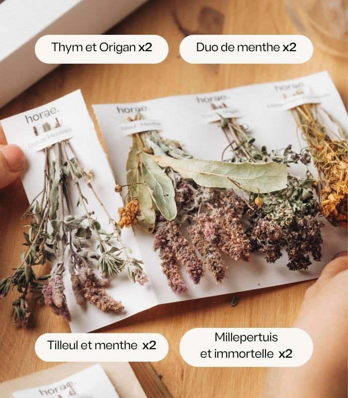 Coffret l'Herbier, 8 bouquets à infuser