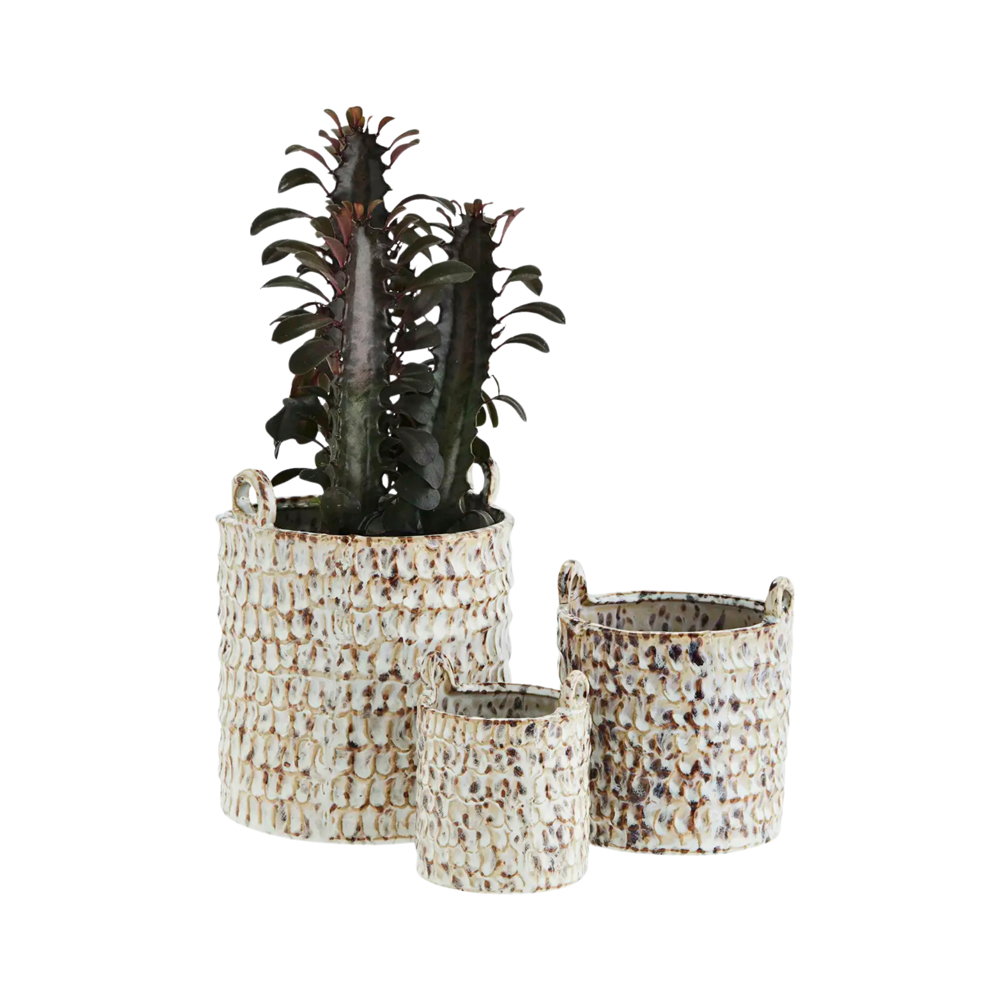 Lot de 3 pots