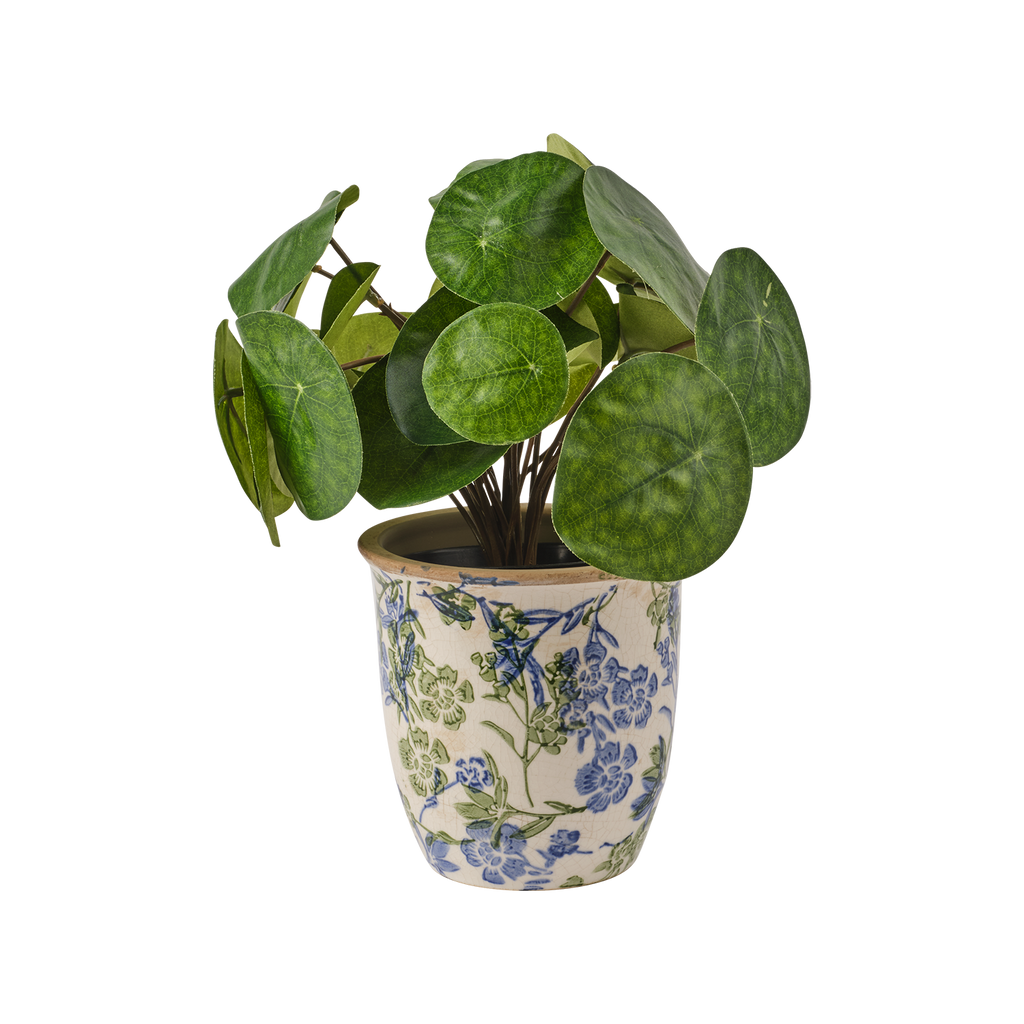 Pot Anita