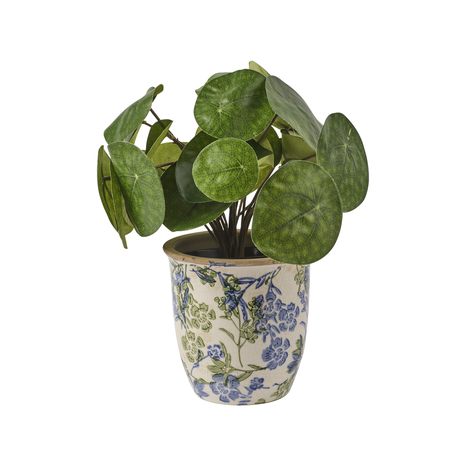 Pot Anita