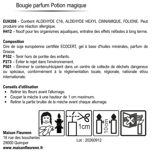 Bougie artisanale “Elixir d'automne” – parfum Potion magique