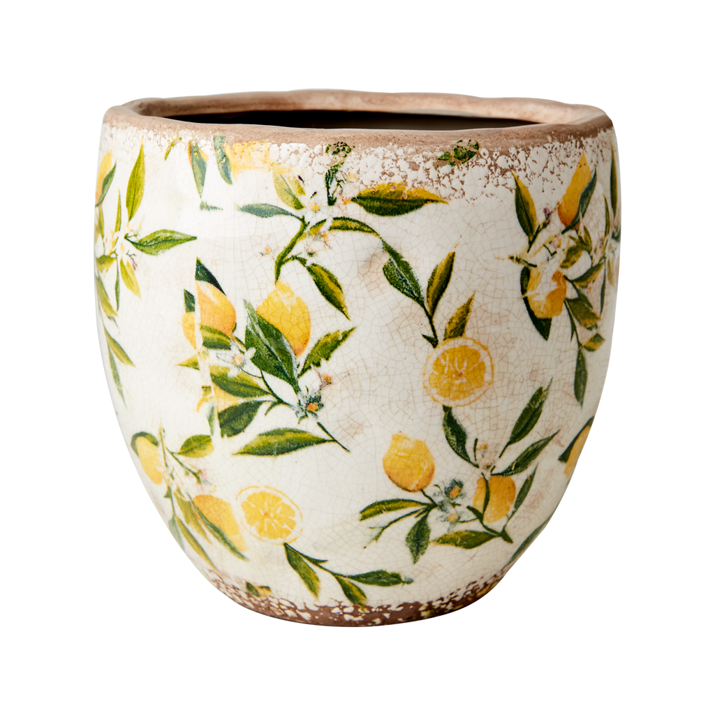 Pot Lemona