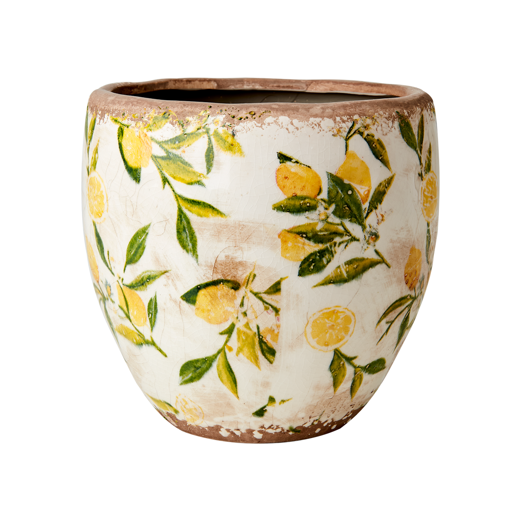 Pot Lemona