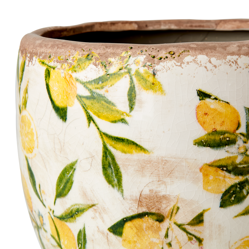 Pot Lemona