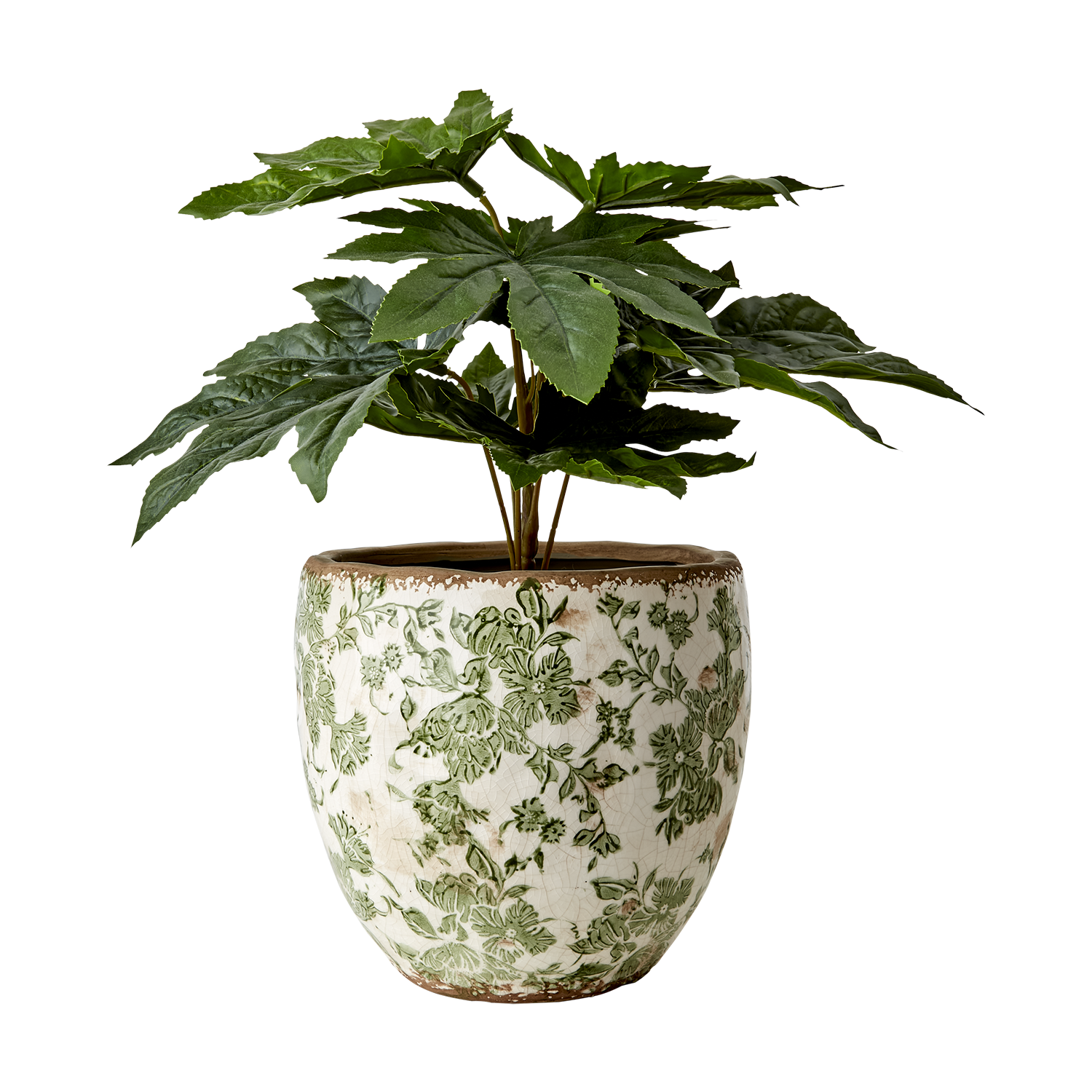 Pot Victoria