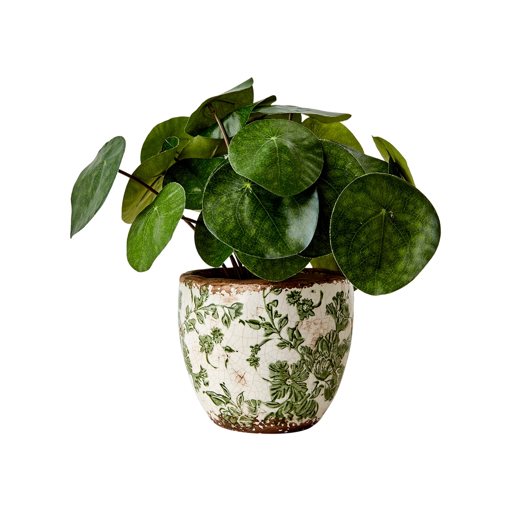 Petit pot victoria