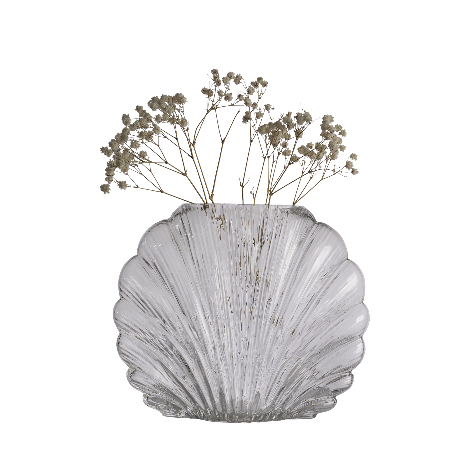 Vase Shell