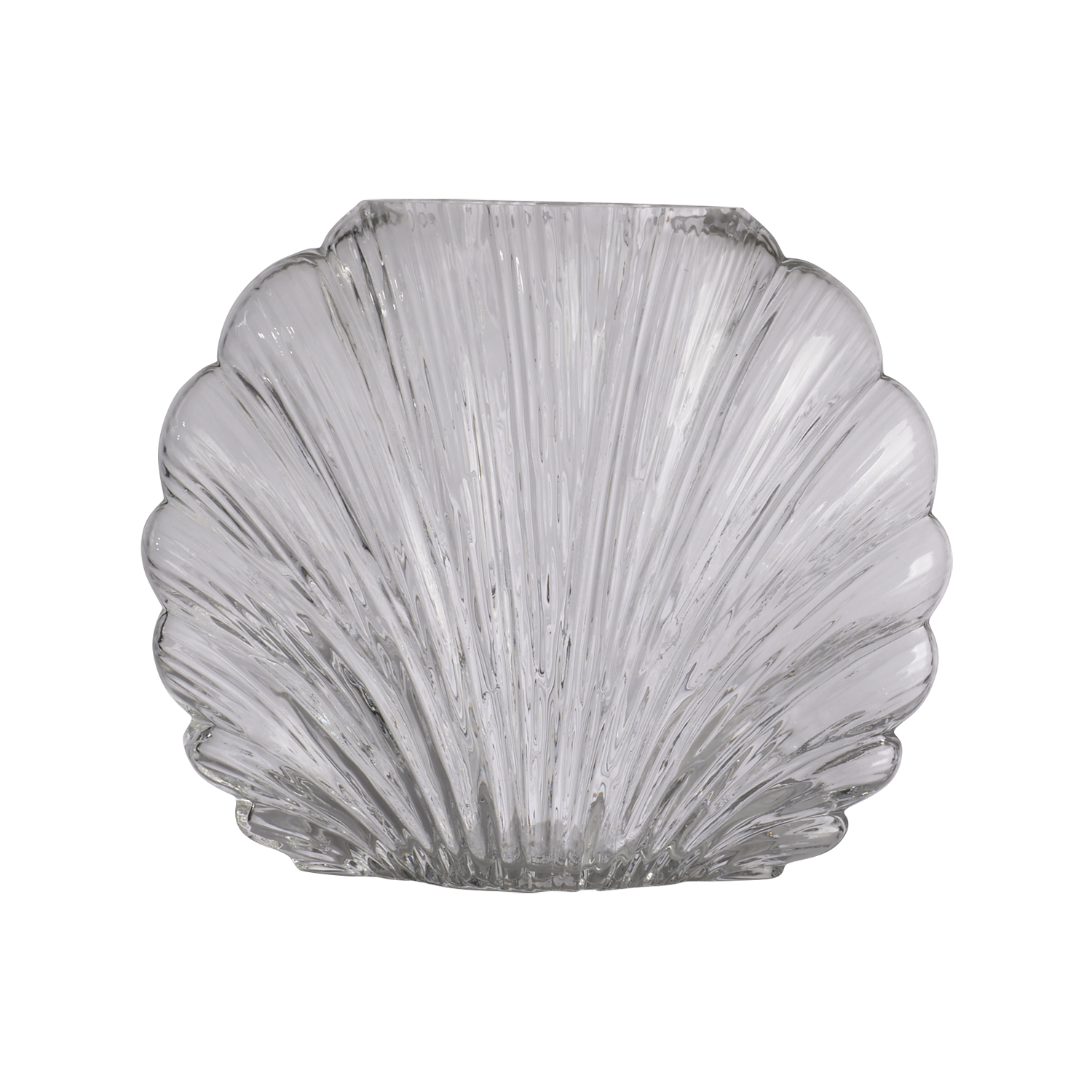 Vase Shell