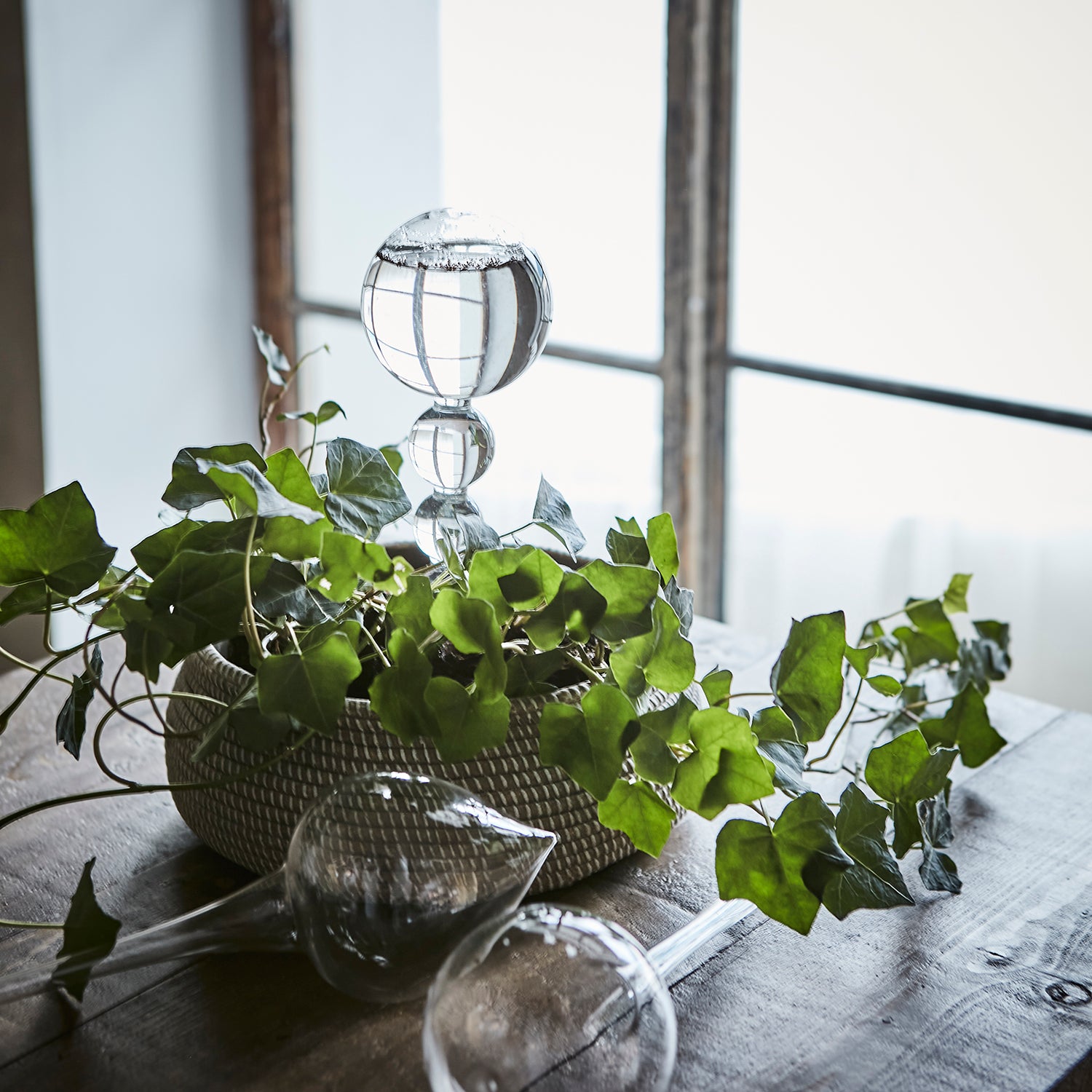 Verre d'irrigation pour plantes